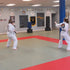 DYNAMICS-FLOOR JUDO&GRAPPLING MATS-3